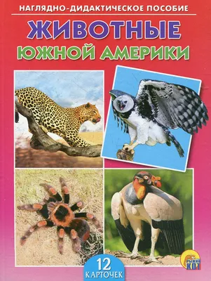 Животные Южной Америки - Рублев С. - купить и читать онлайн электронную  книгу на Wildberries Цифровой | 27993