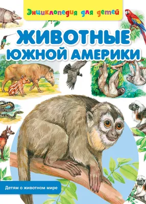 Иллюстрация 7 из 9 для Дидактические карточки \"Животные Южной Америки\" |  Лабиринт - игрушки. Источник: Zakatnoe Solnce