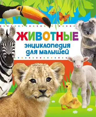 Картинки животных для детей | Картинки Detki.today