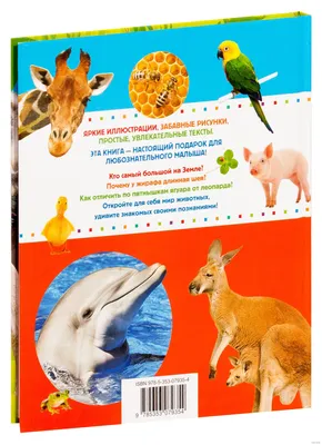 Пазл-рамка для малышей \"Чей малыш? Домашние животные\", арт.8090 - купить в  интернет-магазине Игросити