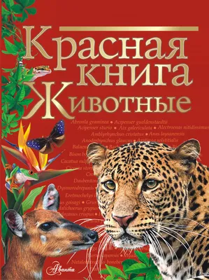 Животные Казахстана | TR-KAZAKHSTAN.KZ