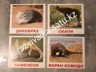 Сайгаков и змееголовов включили в перечень животных, подлежащих  регулированию в Казахстане
