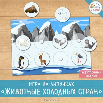 Игра на липучках «Животные холодных стран» – igro-mama.ru