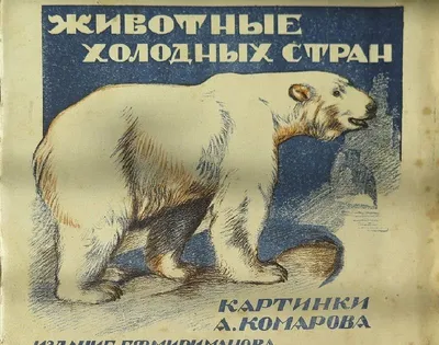 Животные холодных стран. 1926 год | Книжные иллюстрации, Животные,  Иллюстрации