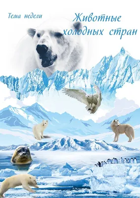 Животные холодных стран (тема недели) | Животные, Детский сад, Дошкольный
