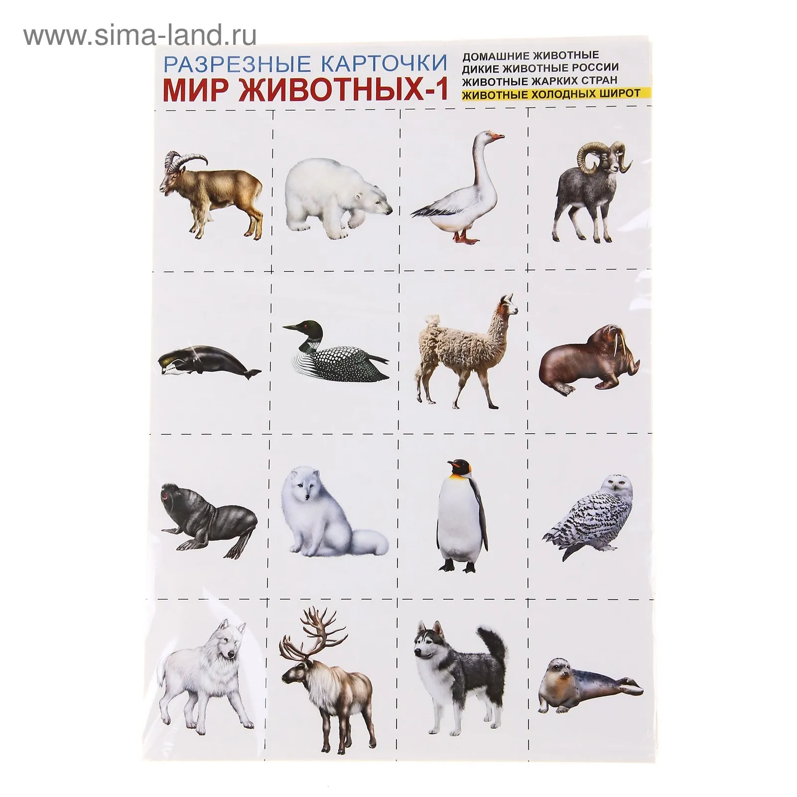 Разрезные карточки мир животных. Дикие животные севера. Животные севера карточки для детей. Звери и птицы холодных стран. Карточки обитатели