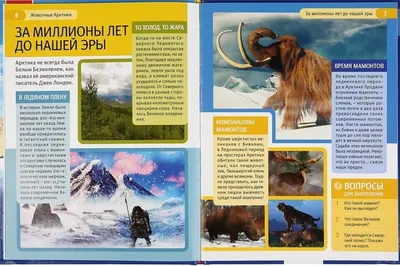 Животные Арктики. Энциклопедия с развивающими заданиями Kids Book in  Russian | eBay