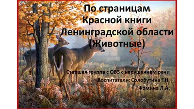 Классный час \"Красная книга животных Ленинградской области\"