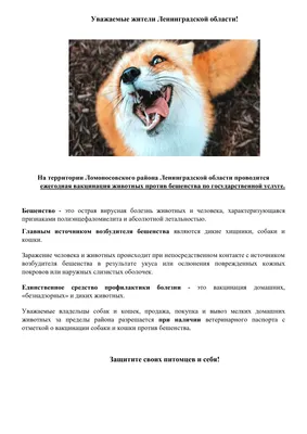 Памятки — Государственное бюджетное учреждение Ленинградской области  Станция по борьбе с болезнями животных Приозерского района (СББЖ)