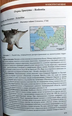 Охотничьи животные Ленинградской области