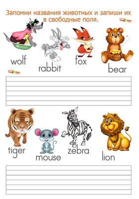 Английский язык для детей животные | Животные, Английский язык, Маленькие  свадебные букеты