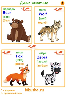 Учим английский. Дикие животные. Wild animals. Учим название диких животных  на английском. Часть 2. - YouTube