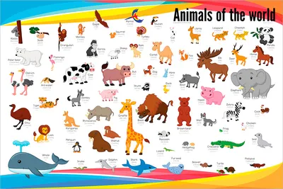 Карточки - Дикие животные - На английском | Скачать