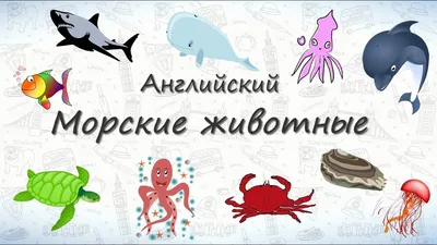 Прописи. Английский в стихах и картинках: животные. Для детей 6-7 лет –  купить по цене: 27 руб. в интернет-магазине УчМаг