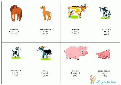 Игры для детей на английском по теме «Животные»