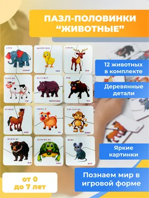 Карточки с картинками \"Животные\" - на английском языке !!! ⠀ Изучение  английского языка с ребенком всегда начинается с изучения… | Instagram