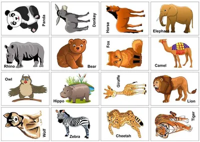 Карточки с животными для детей | Animal flashcards, Printable animal  pictures, Animal pictures for kids
