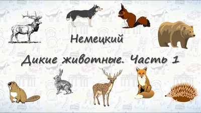 Урок 5. Животные - темы для 1 класса (Кроссворд для детей) | Немецкий язык  онлайн. Изучение, уроки.