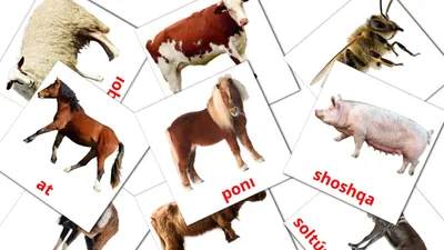 21 Бесплатная Карточка Животные африки на Немецком | PDF