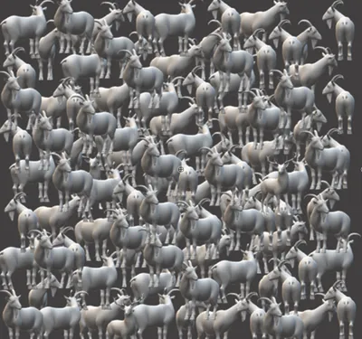 Картинки-половинки Животные Африки - купить с доставкой по выгодным ценам в  интернет-магазине OZON (1263154786)