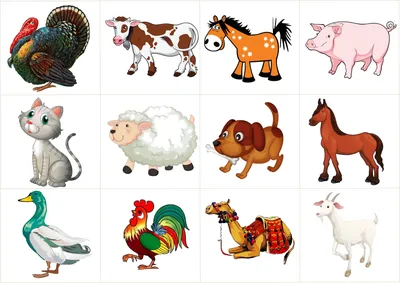 Сколько животных изображено на картинке?
