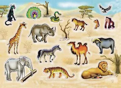 Животные пустыни картинки для детей - 30 фото