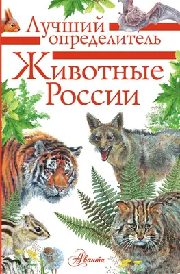 Иллюстрация 6 из 18 для Животные России. Демонстрационный плакат (2986) |  Лабиринт - книги. Источник: Юлия Батурина