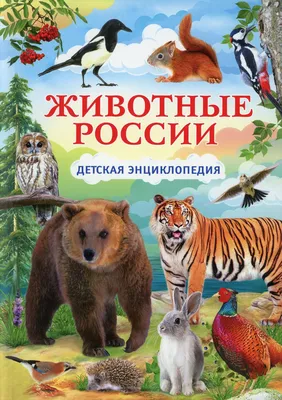 Вы удивитесь, но эти 5 животных водятся в России | РБК Life