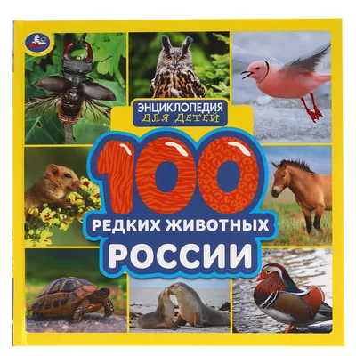 Животные России», сборник - описание и интересные факты из жизни животных  России. - YouTube