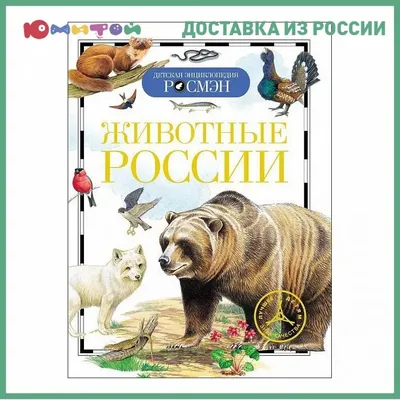 10 самых редких животных России и где их найти — ВыИскали