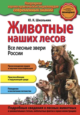 Тактильный интерактивный стенд «Животные России»