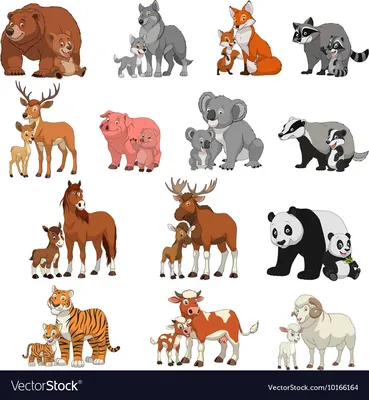 Как выглядят детеныши разных животных! ВИДЕО! | ANIMAL ONE | ЖИВОТНЫЕ |  ПРИРОДА | Дзен