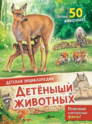 Детеныши животных в натуральную величину – Книжный интернет-магазин  Kniga.lv Polaris
