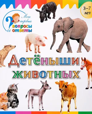 Невыносимо милые детеныши животных » BigPicture.ru