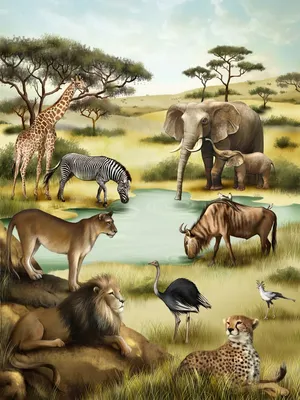 Августинович Юлия - Африка, саванна | Животные в джунглях, Изображение  животного, Саванна
