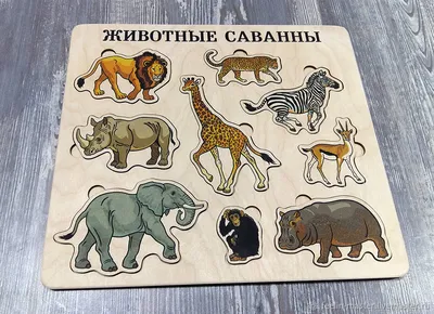 Животные саванны в объективе Государственный Дарвиновский музей