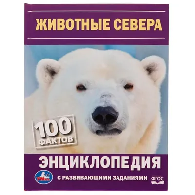 Купить наглядное пособие для детей \"Животные Севера\" магазин в СПб  masiktoys.ru