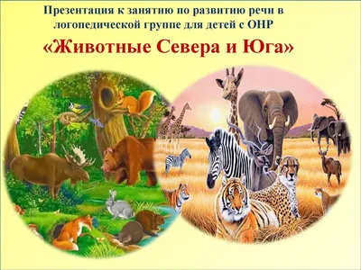 Животные Севера в картинках. купить оптом в Екатеринбурге от 103 руб. Люмна