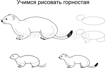 Занятие по рисованию «Детский рисунок животных Севера» (1 фото).  Воспитателям детских садов, школьным учителям и педагогам - Маам.ру