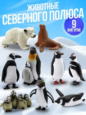DENCO.store Набор фигурки игрушки животные Северного полюса