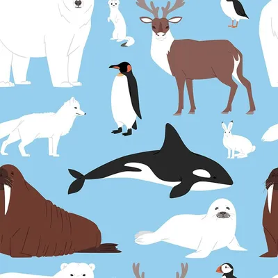 Набор стиля диких животных северного полюса плоский Иллюстрация вектора -  иллюстрации насчитывающей океан, счастливо: 176797261