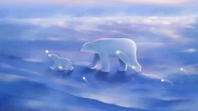 Чем отличаются Северный и Южный полюс и Арктика от Антарктики | Гол.ру