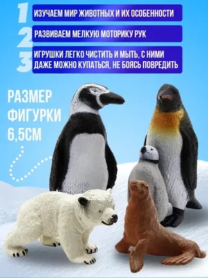 Для печати картинки животные северного полюса для детей » Прикольные  картинки: скачать бесплатно на рабочий стол