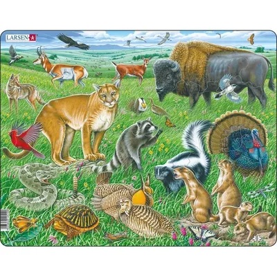 Животные Северной Америки. Демонстрационный плакат (2881) - Издательство  Альфа-книга