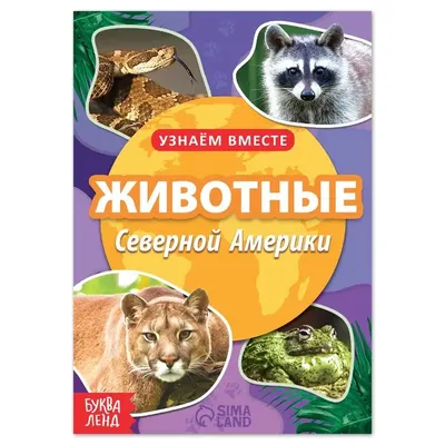 Knigi-janzen.de - Животные Северной Америки | 978-5-9780-1144-9 | Купить  русские книги в интернет-магазине.