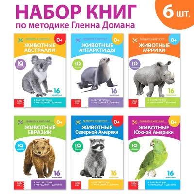 Комплект карточек \"Животные Северной Америки\"-купить развивающие карточки -  интернет магазин - доставка по России