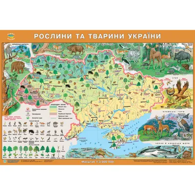 Карта \"Растения и животные Украины\", М1 : 3 000 000, 61 х 43 см, картон  купить в Час-Пик