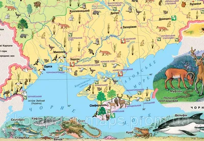 Карта Растения и Животные Украины М13 тыс. картон на укринском