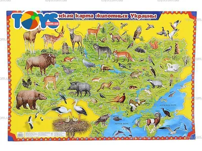 Детский плакат-карта «Животные Украины» - в интернет-магазине Toys