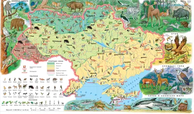 Карта популяции животных в Украине — Служба стастистики NoNews
